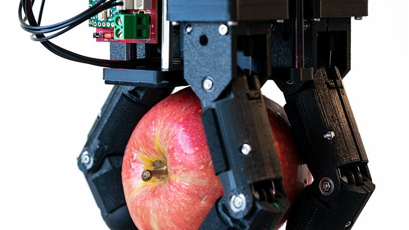 Robot grips apple
