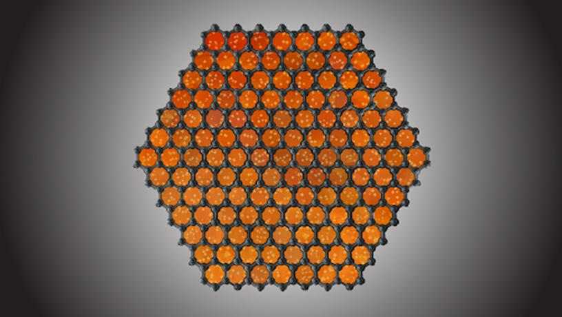 The Hone lab at Columbia Engineering created over 100 identical graphene samples with their oxygen-free chemical vapor deposition method.